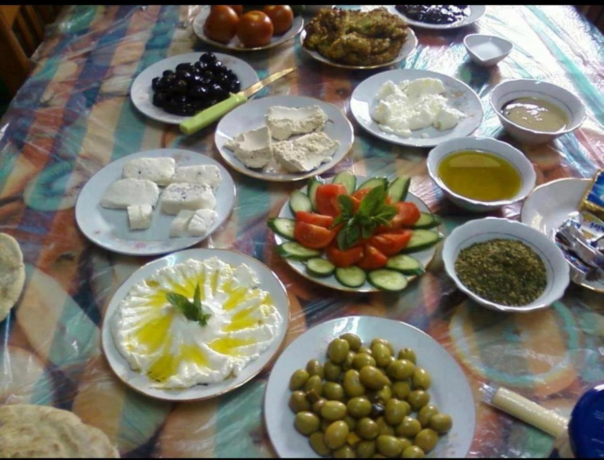 Bedouin Adventure & Tours Hotel Rum vádi Kültér fotó